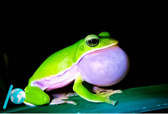 نومونه سوالات فصل سوم زیست شناسی هم