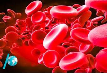 نمونه سوالات فصل چهارم زیست شناسی دهم