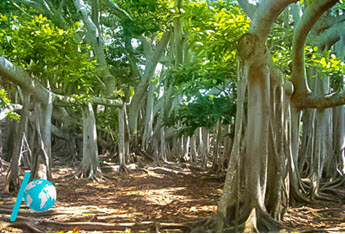 نمونه سوالات فصل شش زیست شناسی دهم